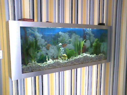 壁畫(huà)式生態(tài)魚(yú)缸006 ,重慶市藍(lán)海鷗生態(tài)魚(yú)缸廠